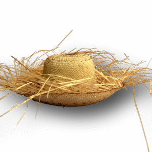 pava tipica paja fina